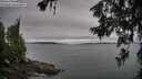 ./images/koeye/fitz-hugh/20260625/fitz-hugh20260625_064002M.jpg