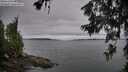 ./images/koeye/fitz-hugh/20260625/fitz-hugh20260625_064501M.jpg