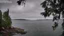 ./images/koeye/fitz-hugh/20260625/fitz-hugh20260625_065502M.jpg