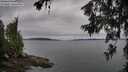 ./images/koeye/fitz-hugh/20260625/fitz-hugh20260625_070001M.jpg