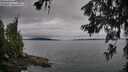 ./images/koeye/fitz-hugh/20260625/fitz-hugh20260625_072501M.jpg