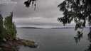 ./images/koeye/fitz-hugh/20260625/fitz-hugh20260625_073501M.jpg