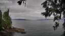 ./images/koeye/fitz-hugh/20260625/fitz-hugh20260625_075002M.jpg