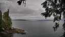./images/koeye/fitz-hugh/20260625/fitz-hugh20260625_075501M.jpg