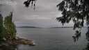 ./images/koeye/fitz-hugh/20260625/fitz-hugh20260625_083002M.jpg