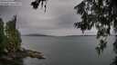 ./images/koeye/fitz-hugh/20260625/fitz-hugh20260625_090501M.jpg