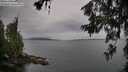 ./images/koeye/fitz-hugh/20260625/fitz-hugh20260625_091502M.jpg
