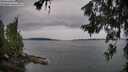 ./images/koeye/fitz-hugh/20260625/fitz-hugh20260625_093501M.jpg