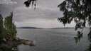 ./images/koeye/fitz-hugh/20260625/fitz-hugh20260625_094002M.jpg