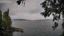 ./images/koeye/fitz-hugh/20260625/fitz-hugh20260625_094501M.jpg