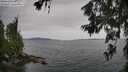 ./images/koeye/fitz-hugh/20260625/fitz-hugh20260625_100501M.jpg