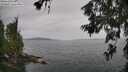 ./images/koeye/fitz-hugh/20260625/fitz-hugh20260625_102501M.jpg