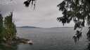 ./images/koeye/fitz-hugh/20260625/fitz-hugh20260625_103001M.jpg