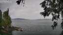 ./images/koeye/fitz-hugh/20260625/fitz-hugh20260625_103501M.jpg