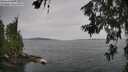 ./images/koeye/fitz-hugh/20260625/fitz-hugh20260625_104001M.jpg