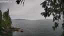 ./images/koeye/fitz-hugh/20260625/fitz-hugh20260625_104501M.jpg