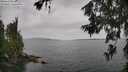 ./images/koeye/fitz-hugh/20260625/fitz-hugh20260625_111001M.jpg