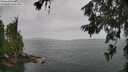 ./images/koeye/fitz-hugh/20260625/fitz-hugh20260625_113001M.jpg