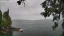 ./images/koeye/fitz-hugh/20260625/fitz-hugh20260625_113501M.jpg