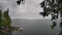 ./images/koeye/fitz-hugh/20260625/fitz-hugh20260625_114501M.jpg