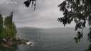 ./images/koeye/fitz-hugh/20260625/fitz-hugh20260625_115002M.jpg