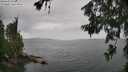 ./images/koeye/fitz-hugh/20260625/fitz-hugh20260625_122501M.jpg