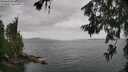 ./images/koeye/fitz-hugh/20260625/fitz-hugh20260625_123001M.jpg