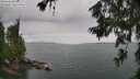 ./images/koeye/fitz-hugh/20260625/fitz-hugh20260625_124001M.jpg