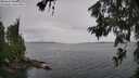 ./images/koeye/fitz-hugh/20260625/fitz-hugh20260625_125001M.jpg