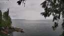 ./images/koeye/fitz-hugh/20260625/fitz-hugh20260625_131001M.jpg