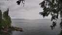 ./images/koeye/fitz-hugh/20260625/fitz-hugh20260625_131501M.jpg