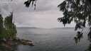 ./images/koeye/fitz-hugh/20260625/fitz-hugh20260625_132001M.jpg