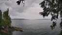 ./images/koeye/fitz-hugh/20260625/fitz-hugh20260625_132501M.jpg