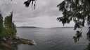 ./images/koeye/fitz-hugh/20260625/fitz-hugh20260625_133002M.jpg