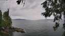 ./images/koeye/fitz-hugh/20260625/fitz-hugh20260625_134001M.jpg