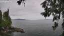 ./images/koeye/fitz-hugh/20260625/fitz-hugh20260625_135002M.jpg