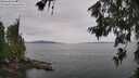./images/koeye/fitz-hugh/20260625/fitz-hugh20260625_135501M.jpg