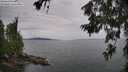 ./images/koeye/fitz-hugh/20260625/fitz-hugh20260625_142502M.jpg