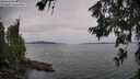 ./images/koeye/fitz-hugh/20260625/fitz-hugh20260625_144002M.jpg