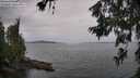 ./images/koeye/fitz-hugh/20260625/fitz-hugh20260625_144501M.jpg