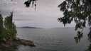 ./images/koeye/fitz-hugh/20260625/fitz-hugh20260625_145501M.jpg