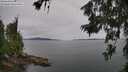 ./images/koeye/fitz-hugh/20260625/fitz-hugh20260625_154501M.jpg