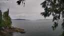 ./images/koeye/fitz-hugh/20260625/fitz-hugh20260625_155501M.jpg
