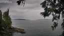 ./images/koeye/fitz-hugh/20260625/fitz-hugh20260625_161501M.jpg