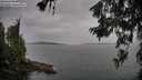 ./images/koeye/fitz-hugh/20260625/fitz-hugh20260625_162001M.jpg