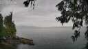 ./images/koeye/fitz-hugh/20260625/fitz-hugh20260625_174002M.jpg