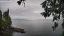 ./images/koeye/fitz-hugh/20260625/fitz-hugh20260625_174501M.jpg