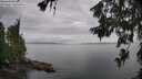 ./images/koeye/fitz-hugh/20260625/fitz-hugh20260625_175501M.jpg