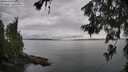 ./images/koeye/fitz-hugh/20260625/fitz-hugh20260625_180501M.jpg