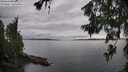 ./images/koeye/fitz-hugh/20260625/fitz-hugh20260625_181002M.jpg